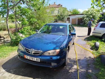 сумка для мото: Nissan Primera: 2001 г., 1.8 л, Механика, Газ, Хэтчбэк