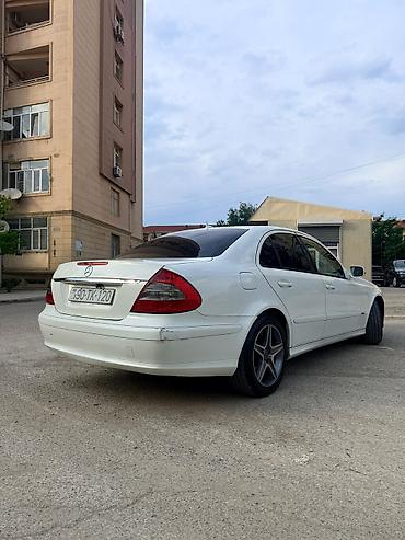 Mercedes-Benz: Mercedes-Benz E-Class: 2.2 l | 2007 il Sedan — 8