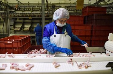 работа в грузии: Требуется Упаковщик, Оплата Дважды в месяц, Без опыта
