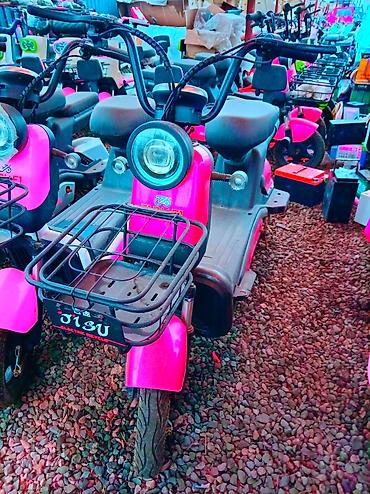 Скутеры: Электроскутеры/электромопеды разных моделей и дизайнов. Ключевые — 12