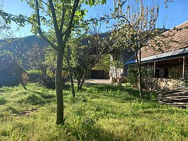 Həyət evləri və villaların satışı: Iki mərtəbəli ev satılır. ətraflı məlumat üçün əlaqə telefonuna zəng — 5