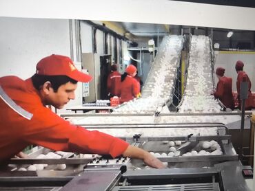 работа социальный работник: Канаттуулар фабрикасына кызматкерлер керек Жумуш берүүчү кабыл алат