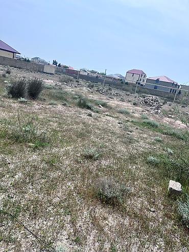 tecili satilan ucuz evler 2025: 4 sot, Kənd təsərrüfatı, Barter mümkündür, Kupça (Çıxarış) — 9