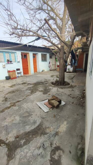 Uzunmüddətli kirayə mənzillər: Komsamol dairəsində 2 otaqlı ev kirayə verilir. hər şəraiti var — 3