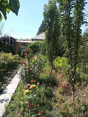 Продажа коттеджей и домов: Продаётся дом, 80 кв. м. 6 комнат, кирпичный, тёплый. Хозпостройки — 27