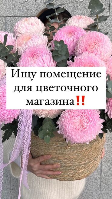 цветочные магазины: Сниму помещение под цветочный магазин в проходимом месте на первой