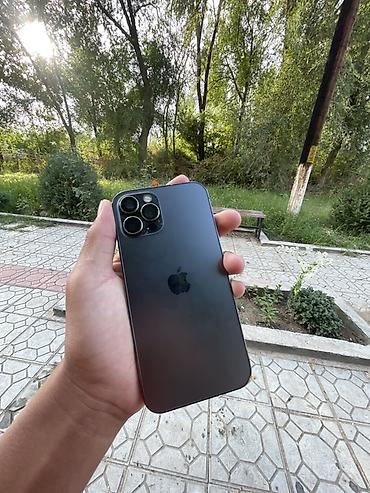 IPhone 12 Pro (графитовый) - Корпус из матового стекла и нержавеющей