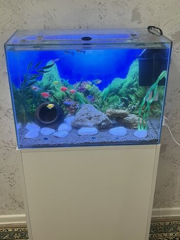 Akvariumlar: Akvarium-şkaf, Balıqlarla birlikdə, 90 l, Ödənişli çatdırılma — 3