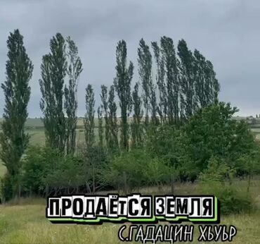 Qarajlar: 12 sot, Tikinti, Mülkiyyətçi, Kupça (Çıxarış)