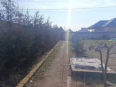 Кухонные гарнитуры: Кухонный гарнитур, Пластик — 10