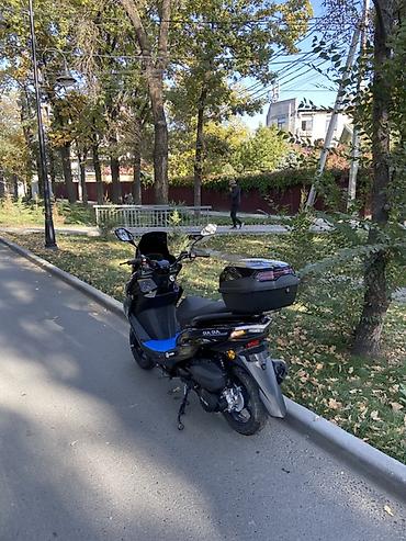 мото трицикл: Макси-скутер 150 куб. см, Бензин, Новый — 3