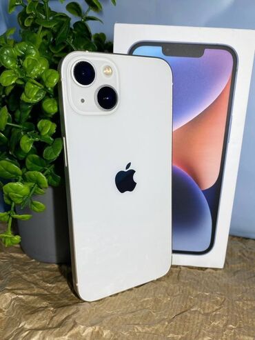 Apple iPhone: IPhone 13, Ağ