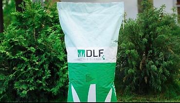 Газон: Газон Семена европейского газона DLF (Дания) *Солнечные *Теневые — 9
