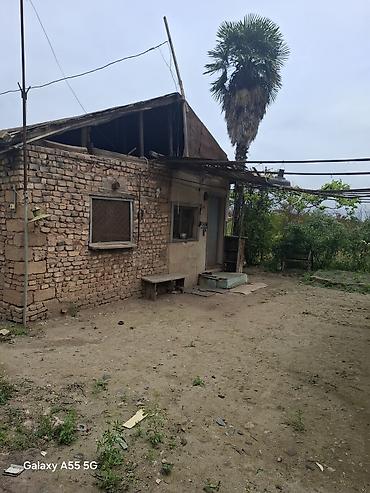 bina az seki: 2 otaqlı, 24 kv. m, Kredit yoxdur, Təmirsiz — 1