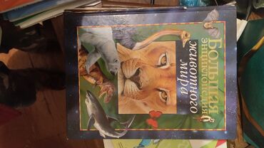 Иностранные языки: Учебники Solutions все по 100, кроме двух частей книг Solutions Upper — 28