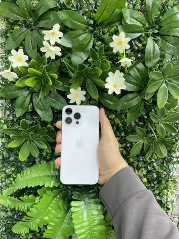 ayfon adapter: IPhone 14 Pro Max, 512 ГБ, Белый, Гарантия, Face ID