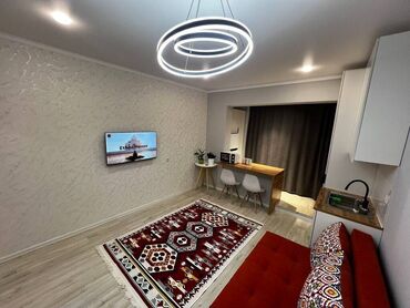 1 комната, 27 м², Элитка, 1 этаж, Дизайнерский ремонт