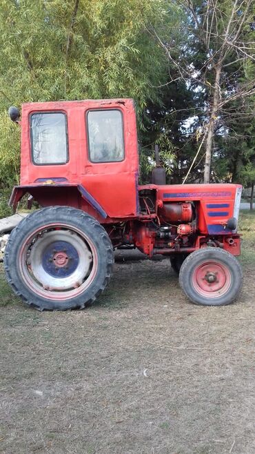 bu avtomobil traktor variantı: Traktor