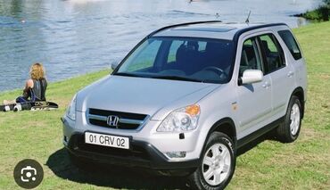 црв 3: Honda CR-V: 2002 г., 2.4 л, Автомат, Бензин, Внедорожник
