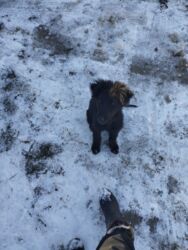 продаю дом жм келечек: Иссык-Куль 2025