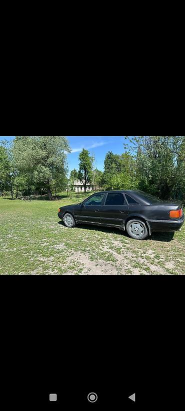 шторки на ауди: Audi 100: 1993 г., 2.3 л, Автомат, Бензин, Седан — 3