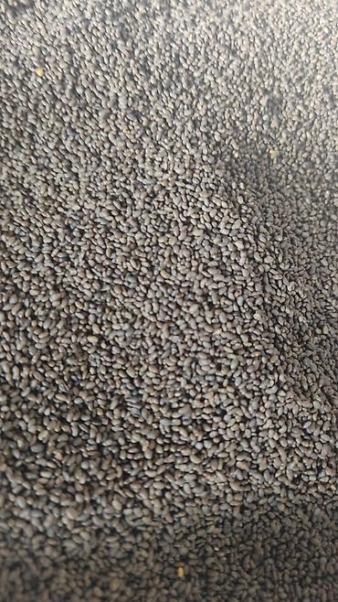 Клевер: Беде Урук сатылат,тап таза,кара беде 7 жыл,Магнитка,пектус,Урук — 2