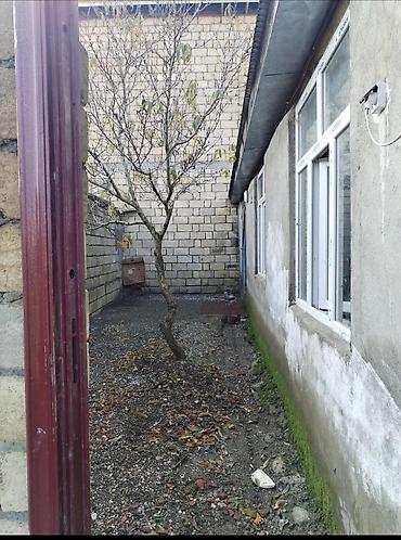 Uzunmüddətli kirayə mənzillər: Lənkəran şəhərində Həyət evi satılır Lənkəran şəhəri Şilavar Bravo — 15