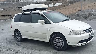 жондер прес: Honda Odyssey: 1999 г., Минивэн — 2
