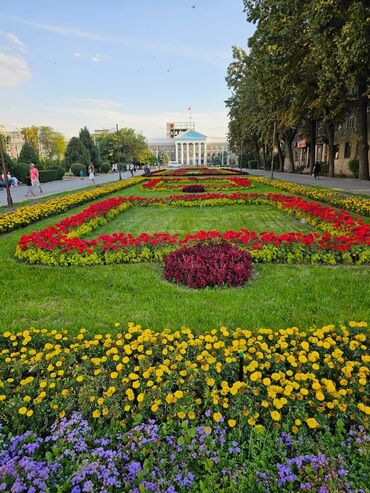 профсоюзная квартира: 4 бөлмө, 85 кв. м, Сталинка, 2 кабат, Эски ремонт