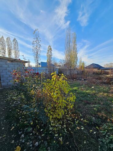 каракол дом купить: Времянка, 45 кв. м, 3 бөлмө, Менчик ээси, Косметикалык оңдоо lalafo.kg да каракол дом купить: Времянка, 45 кв. м, 3 бөлмө, Менчик ээси, Косметикалык оңдоо