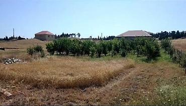 binede torpaq kupcali: 12 sot, Tikinti, Mülkiyyətçi, Kupça (Çıxarış) — 3