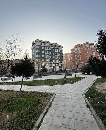 bileceri ucuz kiraye evler: 2 otaqlı, Yeni tikili, 40 kv. m — 1