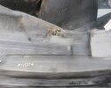 Haube: BRAVA HAUBE ZA FORD FIESTA OD 2002. DO 2007. GOD. | FORD velika — 18