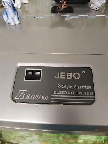 Аквариумы: Заводской аквариум на 250 литров, полностью укомплектован с рыбками и — 11