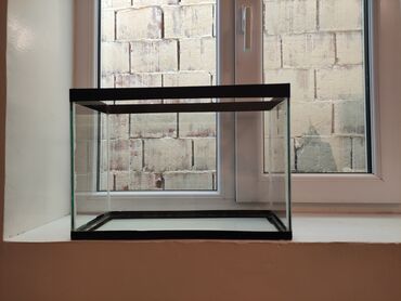 Gəmiricilər: Dördbucaq akvarium, Boş, 10 l, Ünvandan götürmə
