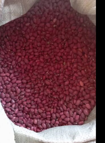 купить крахмал кукурузный: Красная фасоль в мешке - Тип: сухая красная фасоль, зерно однородного