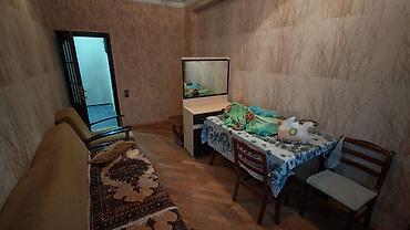 Недвижимость: Поселок Ясамал, 2 комнаты, Новостройка, м. Иншаатчылар, 45 м² — 5