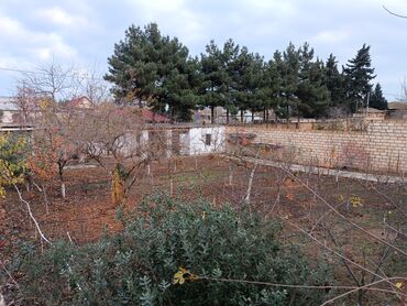 Bağ evlərinin satışı: Bakı, Novxanı, 200 kv. m, 5 otaqlı, İnternet, Artezian quyusu, Telefon — 11