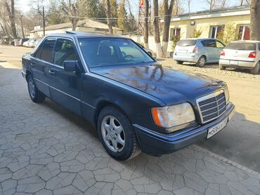 Mercedes-Benz: Mercedes-Benz W124: 1993 г., 2.2 л, Автомат, Бензин