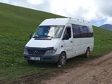 w210 e320: Пункт назначения: Все направления, Количество мест: 18, Лицензия №: 00В005382 — 4