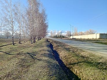 Кыймылсыз мүлк: 5 соток, Курулуш, Кызыл китеп — 5