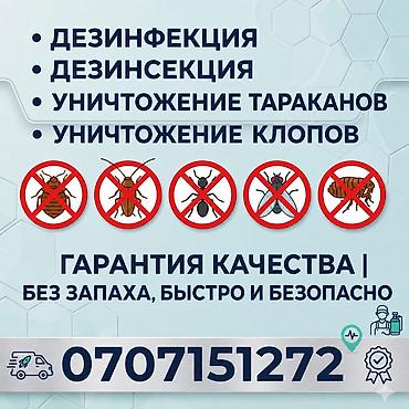 Клининговые услуги: Дезинфекция, дезинсекция, | Клопы, Блохи, Тараканы, | Транспорт, Офисы, Квартиры — 1