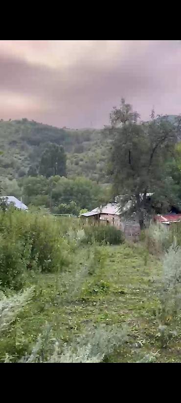 Torpaq sahələrinin satışı: Kənd təsərrüfatı — 5