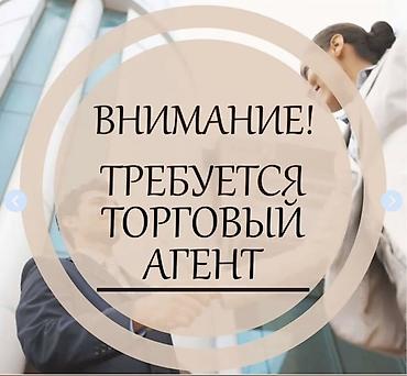 Требуется торговый агент
Каждый день по 2000 с