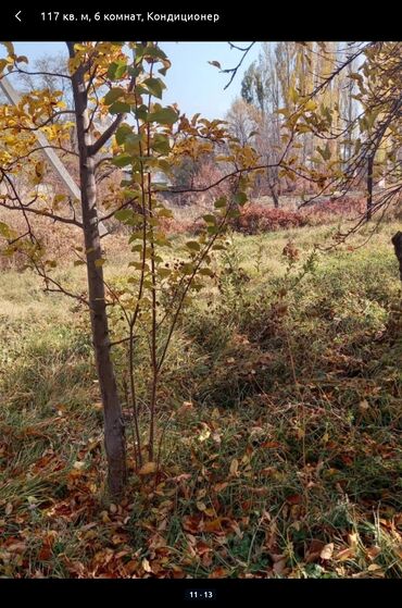 село ленский: 10 соток, Курулуш, Кызыл китеп, Белек келишими