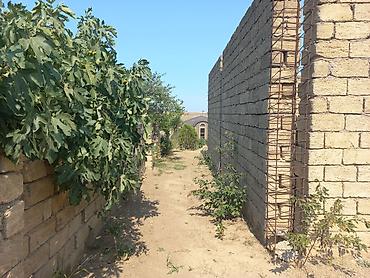 torpaq kreditle: 10 sot, Tikinti, Mülkiyyətçi, Kupça (Çıxarış) — 4