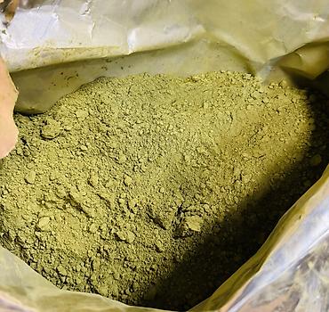 Salam, Matça (Matcha, Матча) lattenin topdan satışı ilə məşğuluq
