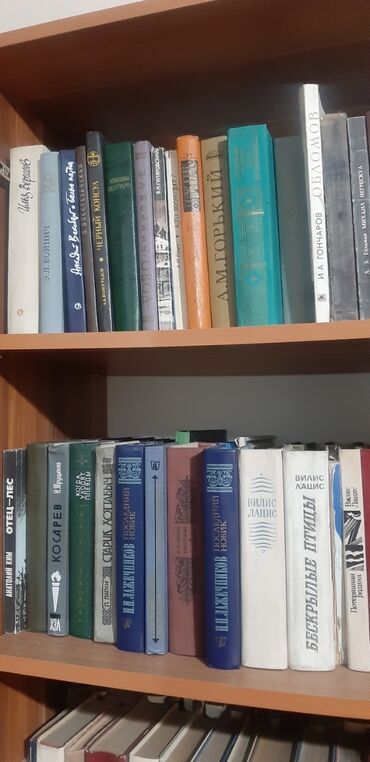 гдз русский язык 3 класс даувальдер никишкова ответы упражнение 175: Классика, Орус тилинде