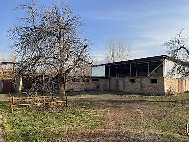 Продажа коттеджей и домов: Продается большой дом 30 соток с большим сараем, отдельный зал at lalafo.kg — 17 Продажа коттеджей и домов: Продается большой дом 30 соток с большим сараем, отдельный зал — 17