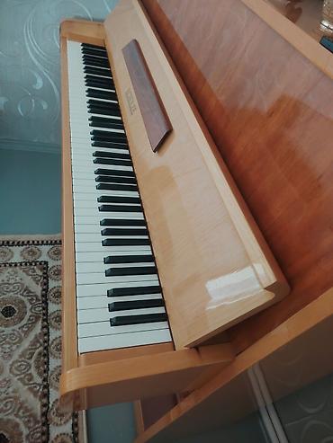 Şuprik upright piano - Korpus: parlaq cilalı açıq və tünd ağac